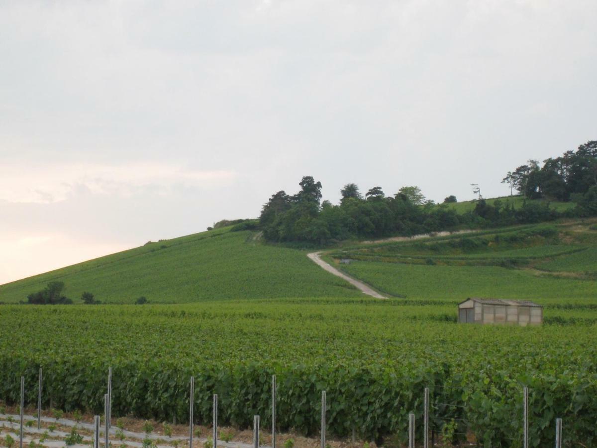 La Chambre D'Amis La Costignieres Montgueux Zewnętrze zdjęcie
